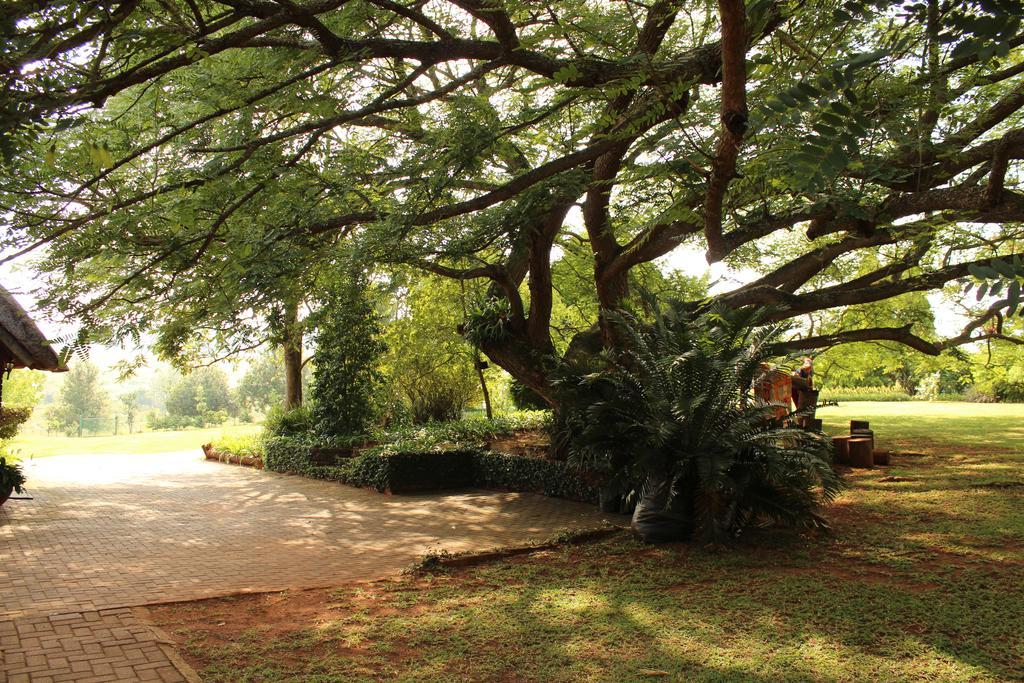 Klipkopje Guest Witrivier